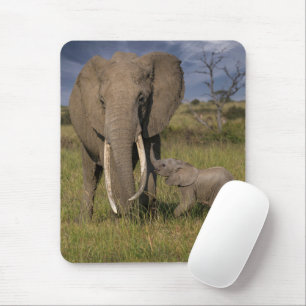 Tapis De Souris Animaux de bébés cutest   Amama Elephant Avec Bébé