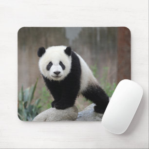 Tapis De Souris Animaux de bébés cutest   Baby Panda géant