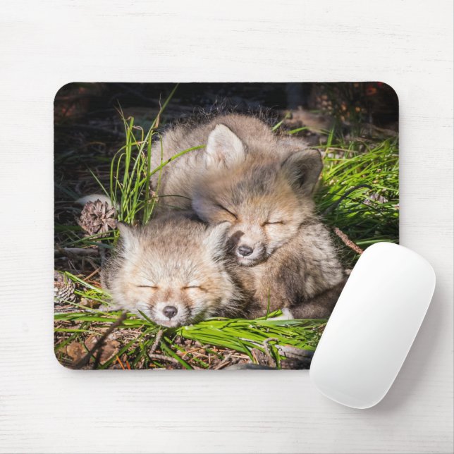 Tapis De Souris Animaux de bébés cutest | Baby Red Fox Kits Sleepi (Avec souris)