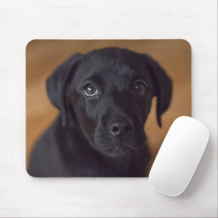 Tapis De Souris Animaux de bébés cutest   Black Labrador Puppy