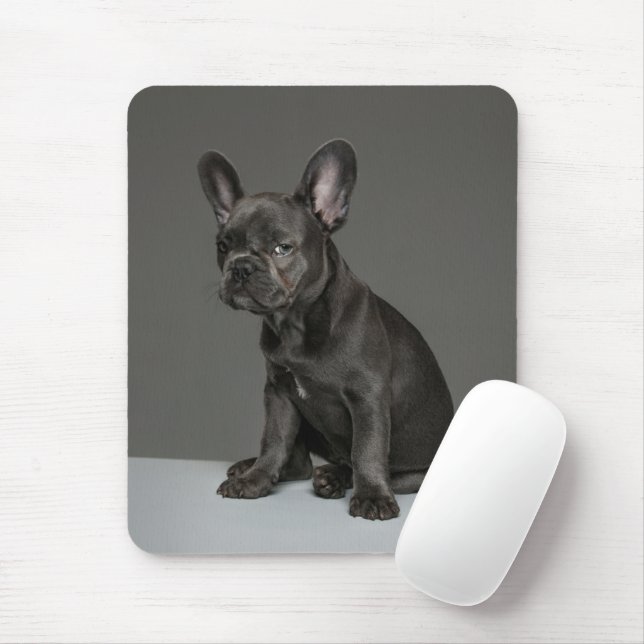 Tapis De Souris Animaux de bébés cutest | Blue French Bulldog Pupp (Avec souris)