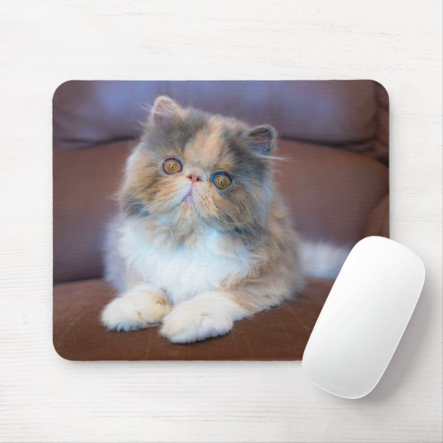 Tapis De Souris Animaux de bébés cutest | Calico Persian Kitten (Avec souris)