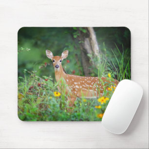 Tapis De Souris Animaux de bébés cutest   Cerf à queue blanche dan