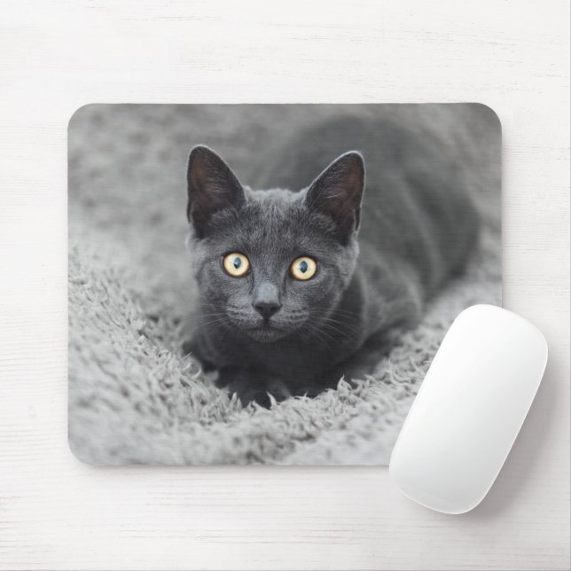 Tapis De Souris Animaux de bébés cutest | Chat gris (Avec souris)