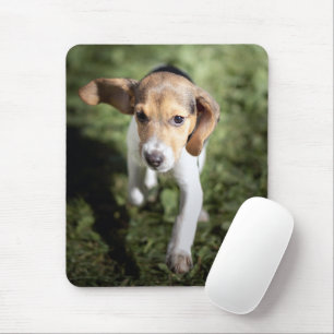 Tapis De Souris Animaux de bébés cutest   Chiot Beagle