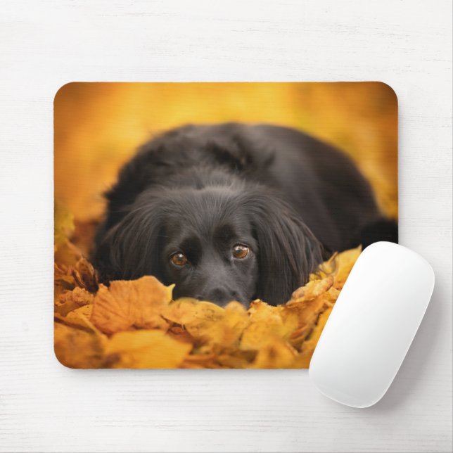 Tapis De Souris Animaux de bébés cutest | Chiot noir espagnol (Avec souris)