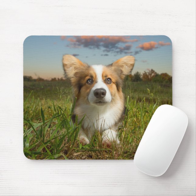 Tapis De Souris Animaux de bébés cutest | Corgi dans le nuage (Avec souris)