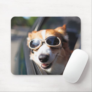 Tapis De Souris Animaux de bébés cutest   Corgi lunettes dans la v