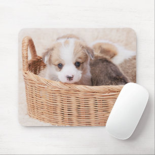 Tapis De Souris Animaux de bébés cutest   Corgi Miny Puppy
