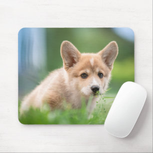Tapis De Souris Animaux de bébés cutest Corgi Puppy dans le tria