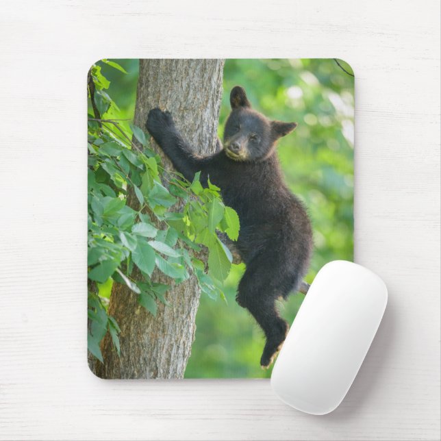 Tapis De Souris Animaux de bébés cutest | Cube d'ours noir (Avec souris)