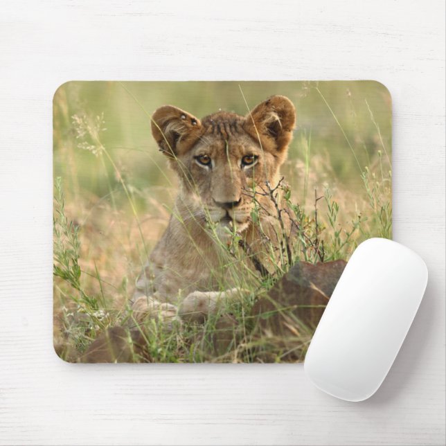 Tapis De Souris Animaux de bébés cutest | Cute Baby Lion Cub (Avec souris)