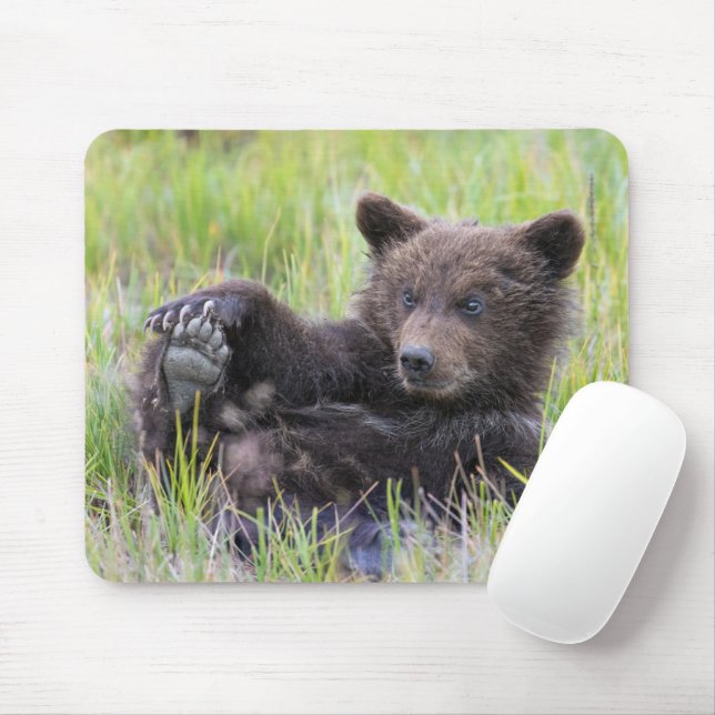 Tapis De Souris Animaux de bébés cutest | Cute Brown Bear Cub Joue (Avec souris)