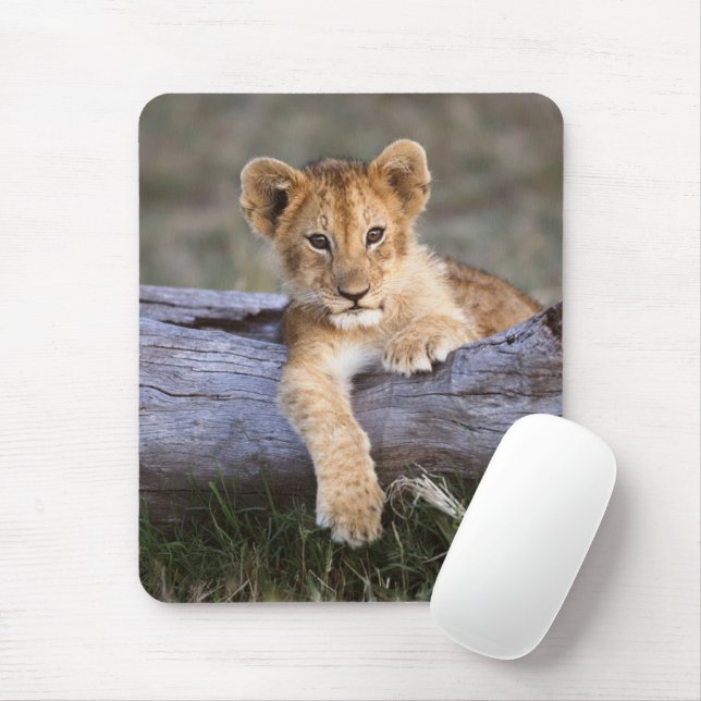 Tapis De Souris Animaux de bébés cutest | Cute Lion Cub (Avec souris)