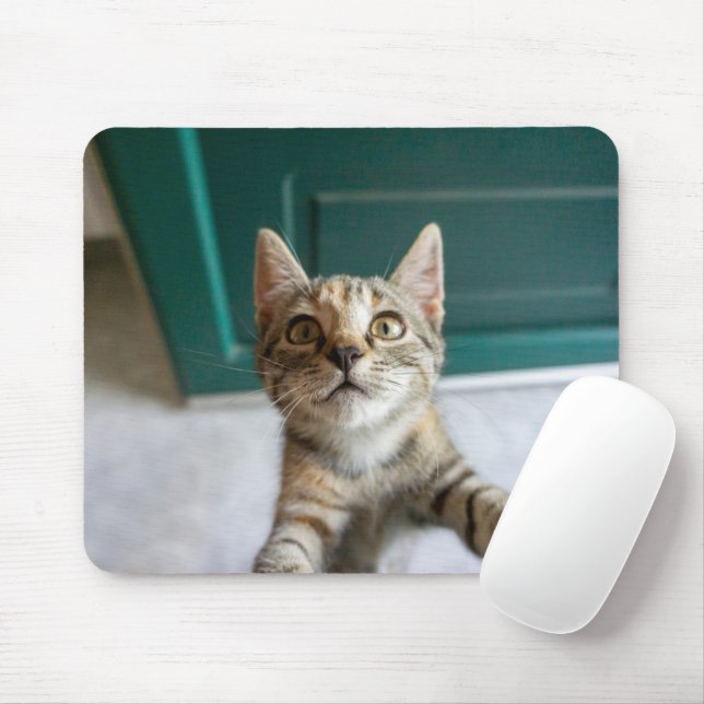 Tapis De Souris Animaux de bébés cutest | Cute Tabby Kitten (Avec souris)