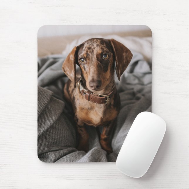 Tapis De Souris Animaux de bébés cutest | Dachshund Dachshund Dach (Avec souris)