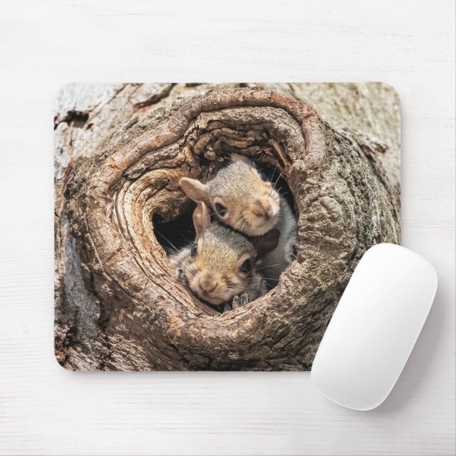 Tapis De Souris Animaux de bébés cutest | Deux jeunes écureuils (Avec souris)
