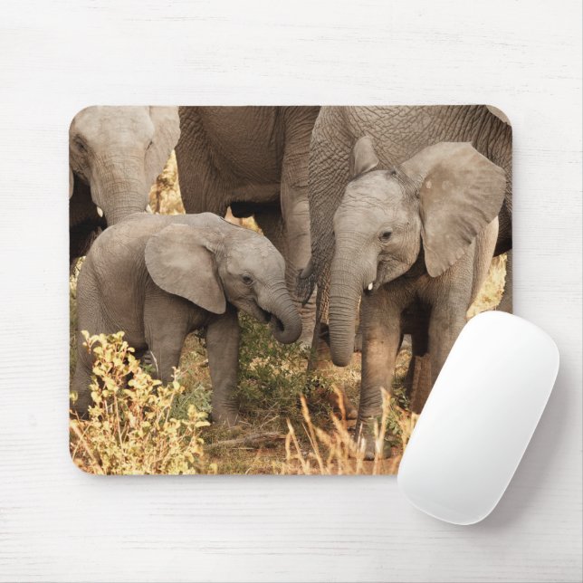 Tapis De Souris Animaux de bébés cutest | Deux jeunes éléphants (Avec souris)