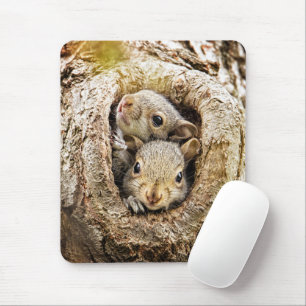Tapis De Souris Animaux de bébés cutest   Écureuils curieux