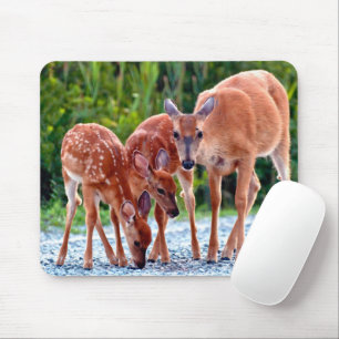 Tapis De Souris Animaux de bébés cutest Fawn with Babies