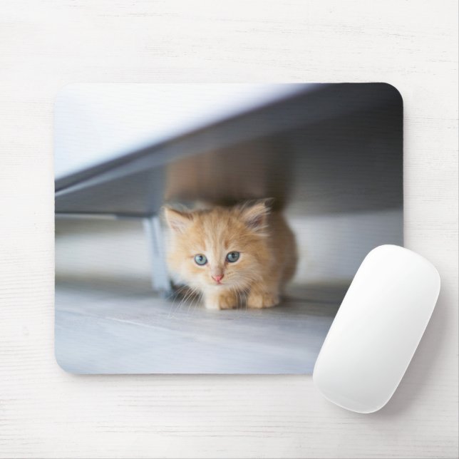 Tapis De Souris Animaux de bébés cutest | Fluffy Orange Kitten (Avec souris)