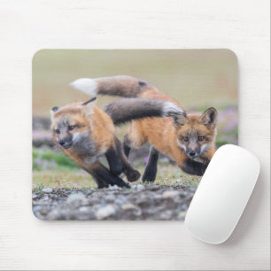 Tapis De Souris Animaux de bébés cutest Fox Pups en jeu