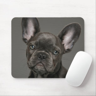 Tapis De Souris Animaux de bébés cutest French Bulldog