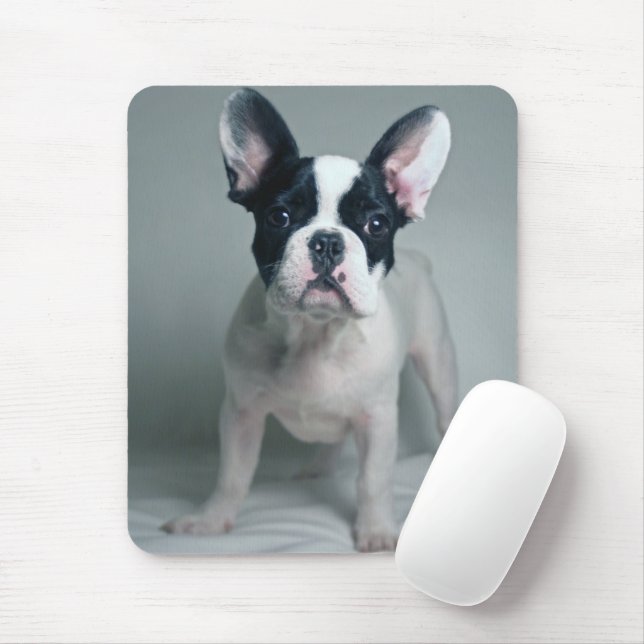 Tapis De Souris Animaux de bébés cutest | French Bulldog Puppy (Avec souris)