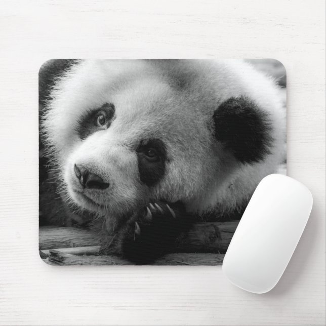 Tapis De Souris Animaux de bébés cutest | Giant Panda Bear Cub (Avec souris)