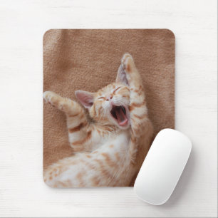 Tapis De Souris Animaux de bébés cutest   Ginger Kitten Yawning