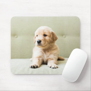 Tapis De Souris Animaux de bébés cutest   Golden Retriever Puppy