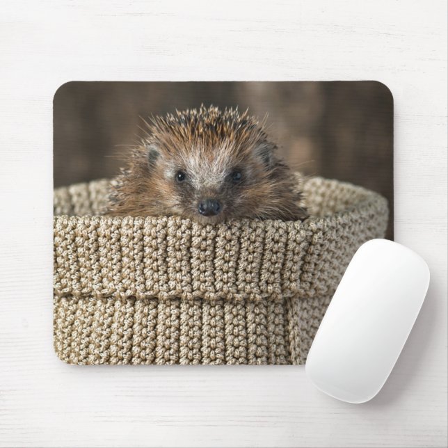Tapis De Souris Animaux de bébés cutest | Hérisson dans un panier (Avec souris)