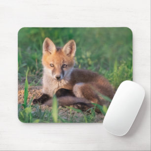 Tapis De Souris Animaux de bébés cutest   Kit Red Fox Relaxant