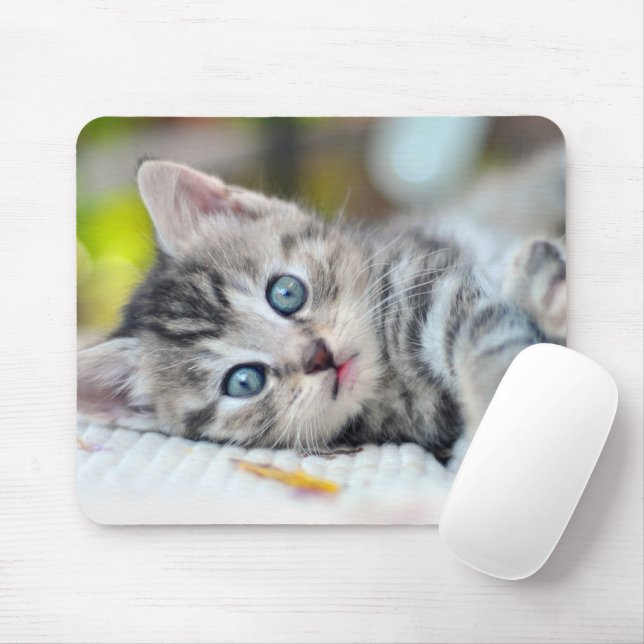 Tapis De Souris Animaux de bébés cutest | Kitten aux yeux bleus (Avec souris)