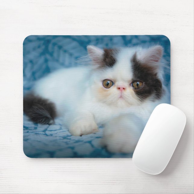 Tapis De Souris Animaux de bébés cutest | Kitten noir et blanc (Avec souris)