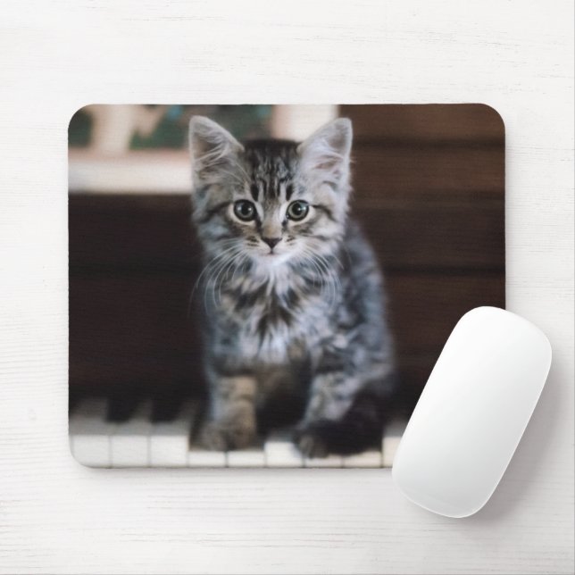 Tapis De Souris Animaux de bébés cutest | Kitten sur Touches de pi (Avec souris)