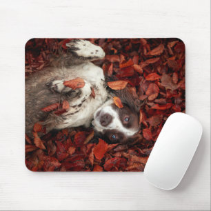 Tapis De Souris Animaux de bébés cutest   L'espagnol dans les feui