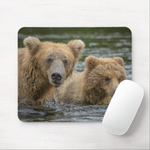 Tapis De Souris Animaux de bébés cutest   Mama Bear & Her Cubs