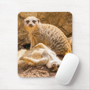 Tapis De Souris Animaux de bébés cutest Meerkats joueurs
