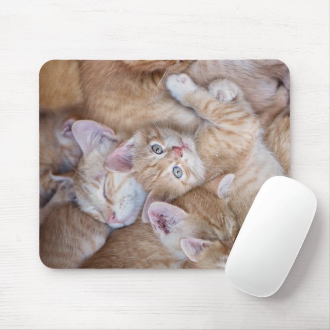 Tapis De Souris Animaux de bébés cutest | Orange Kitten Pile (Avec souris)