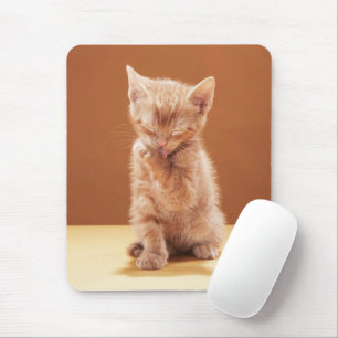 Tapis De Souris Animaux de bébés cutest Orange Tabby Kitten