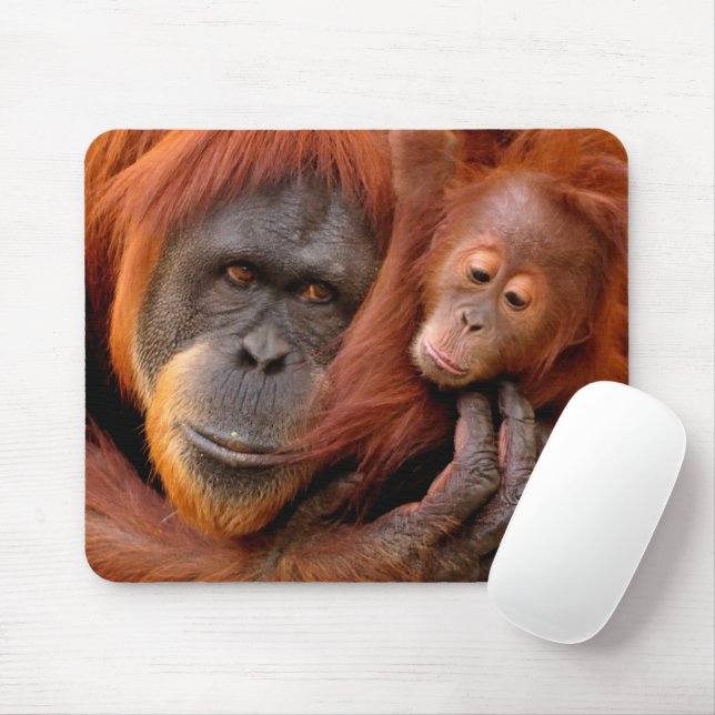 Tapis De Souris Animaux de bébés cutest | Orangutan Maman & Baby (Avec souris)