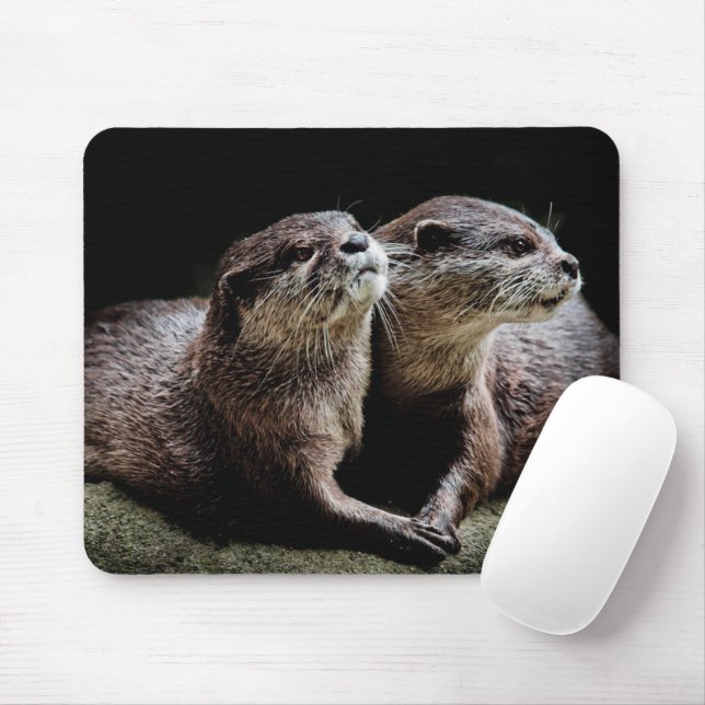 Tapis De Souris Animaux de bébés cutest | Otters tenant les mains (Avec souris)