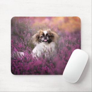 Tapis De Souris Animaux de bébés cutest   Pekingese Puppy