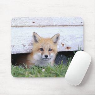Tapis De Souris Animaux de bébés cutest   Red Fox Kit Peeking