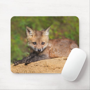 Tapis De Souris Animaux de bébés cutest   Red Fox Pup