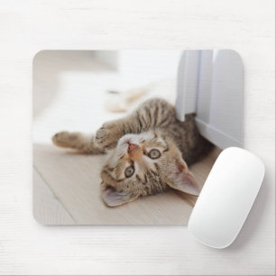 Tapis De Souris Animaux de bébés cutest   Shorthair Tabby Kitten