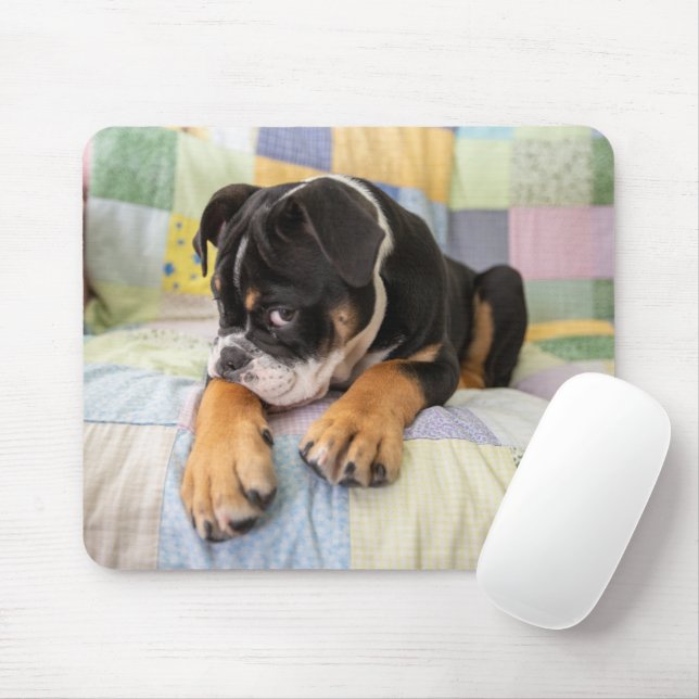 Tapis De Souris Animaux de bébés cutest | Shy Old English Bulldog (Avec souris)