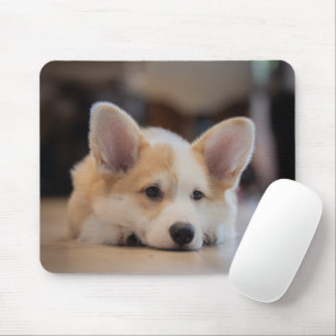 Tapis De Souris Animaux de bébés cutest Sleepy Corgi Puppy
