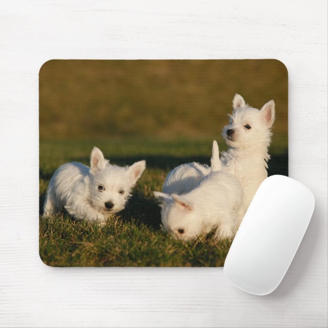 Tapis De Souris Animaux de bébés cutest | West Highland White Terr (Avec souris)